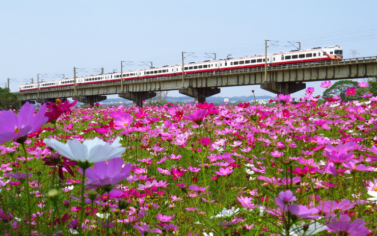 台鉄EMU1200型電車