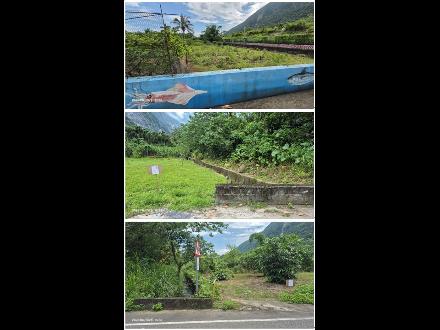 【花蓮營業分處】【土地標租】【花蓮縣秀林鄉上崇德段473、556、557等17筆地號部分土地】【115年1月12日－115年2月5日】