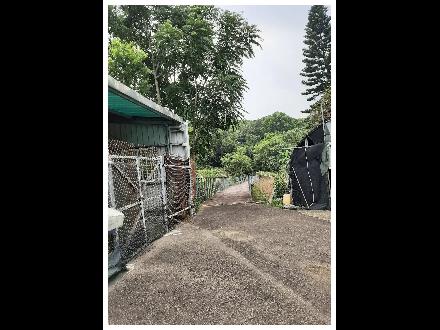 【臺中營業分處】【土地標租】【苗栗縣造橋鄉平興段525、526地號部分土地 】【114.11.20－114.12.08】