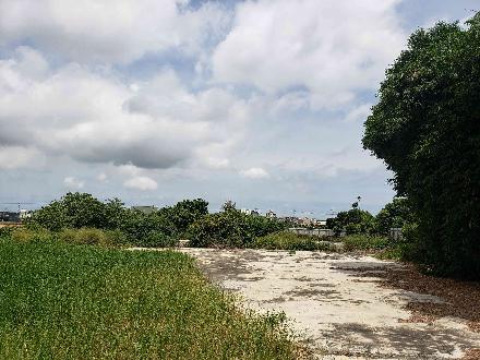 【臺中營業分處】【土地出租】【臺中市龍井區龍田段816之2、822、823、823之1、825、826、827之1地號部分土地標租案】【115.8.13~115.8.31】