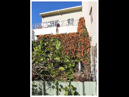 【臺中營業分處】【土地標租】【苗栗縣竹南鎮光復段597地號全部、598地號全部、665地號部分土地】【115.08.17－115.08.31】