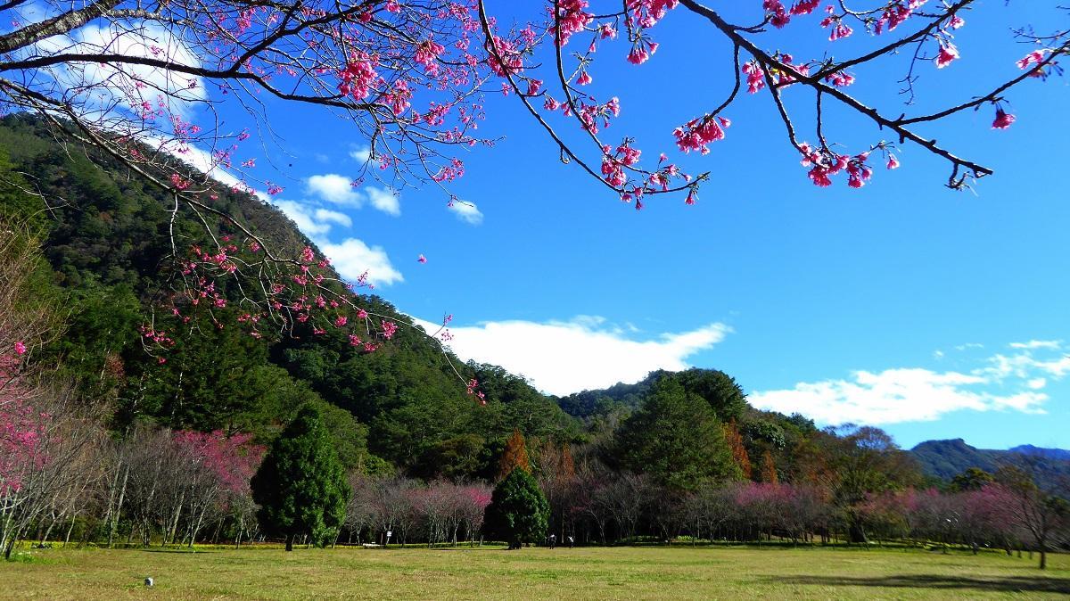 奧萬大國家森林遊樂區門票