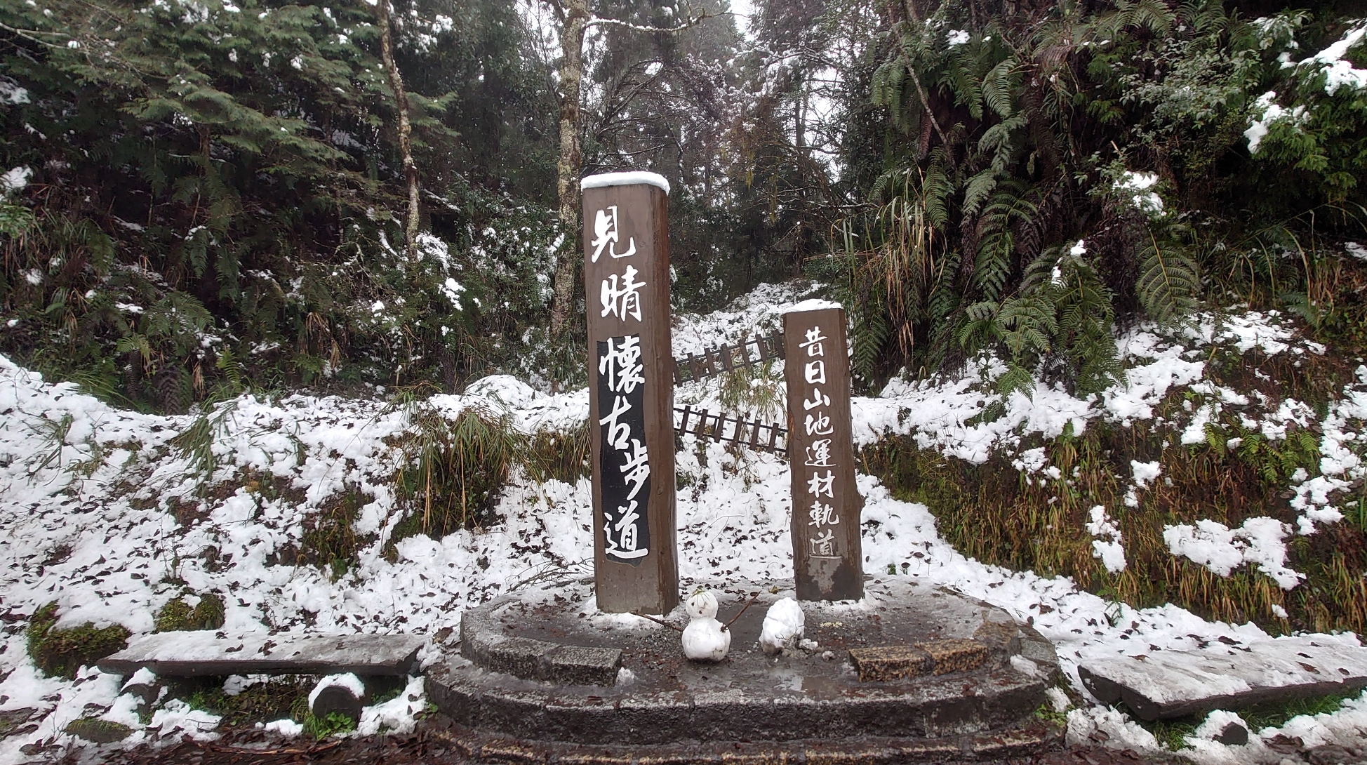 【2人成團】宜蘭｜太平山一日遊｜太平山莊＆蹦蹦車｜見晴懷古步道＆鳩之澤溫泉 ＆三星蔥油餅｜台北宜蘭出發｜中英服務｜保證小車出行