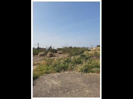 【臺中營業分處】【土地標租】【苗栗縣後龍鎮苦苓腳段166之13、167之2地號全部暨170之1、166之11地號部分土地】【115.06.04－115.06.15】