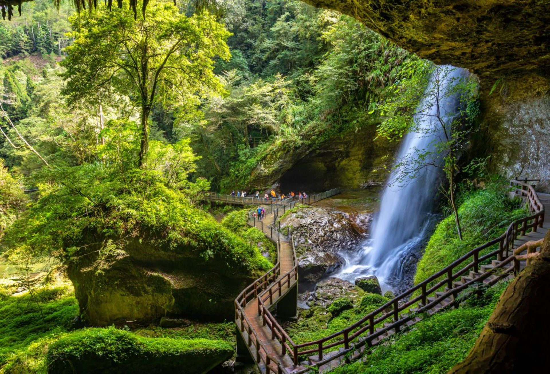 台鐵假期集集線｜從茶香開始的森林系鐵道慢旅行~重溫最美支線集集二水風景.走進雲霧杉林溪二日
