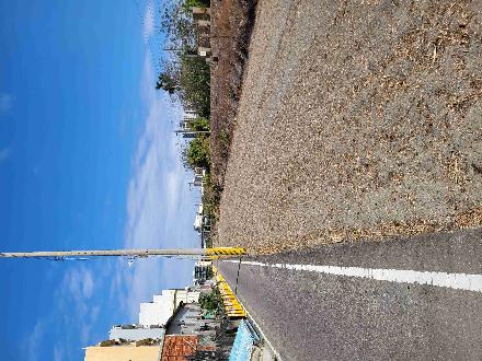 【臺中營業分處】【土地出租】【臺中市沙鹿區鹿寮段835、835之1地號部分土地標租案】【115.5.25~115.6.8】